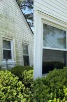 White house exterior with multiple windows and green shrubs along the base