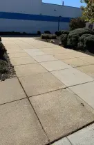 Concrete walkway beside a blue industrial building, bordered by shrubs and trees on a sunny day