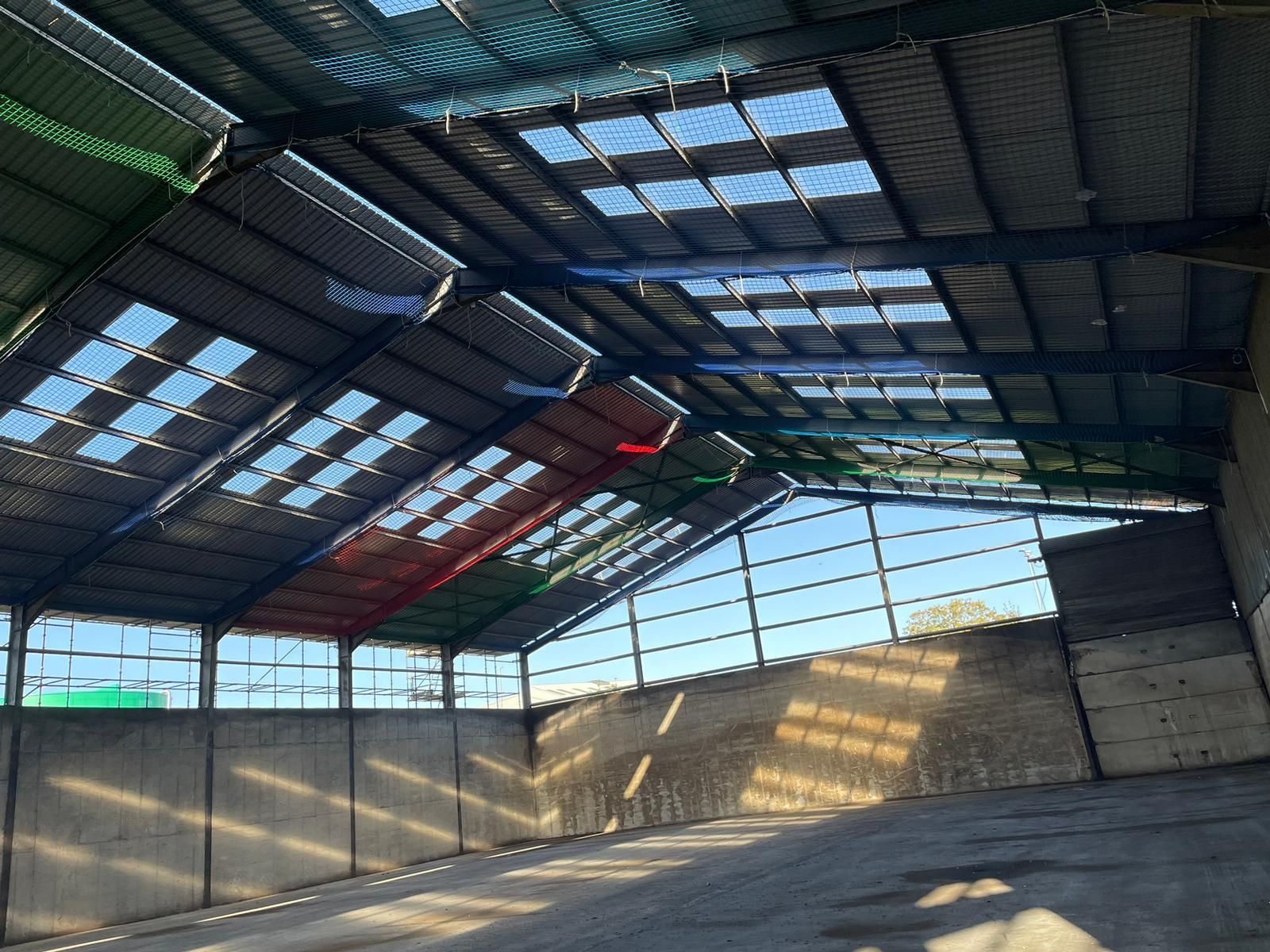 A building with a roof that has a lot of windows