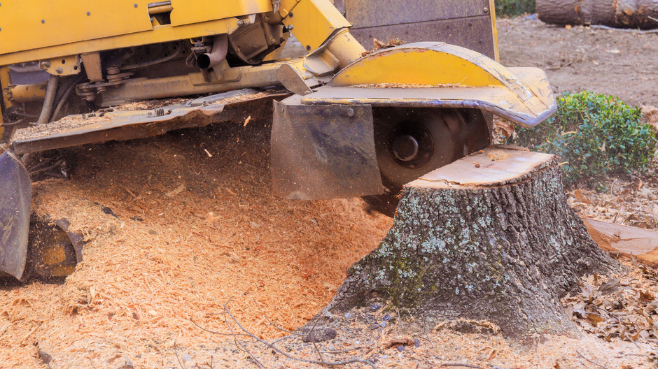 Yellow excavator cutting a tree stump, spraying wood chips on the ground.