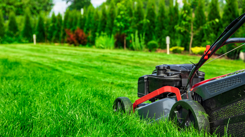 Red lawn mower cutting bright green grass with trees in the background