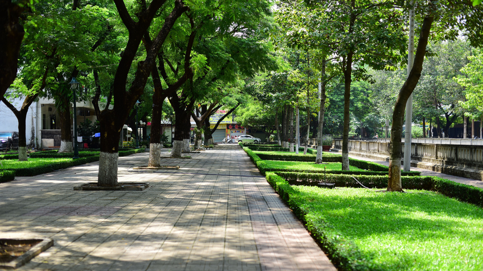 Shaded park walkway lined with trees and green grass on a sunny day
