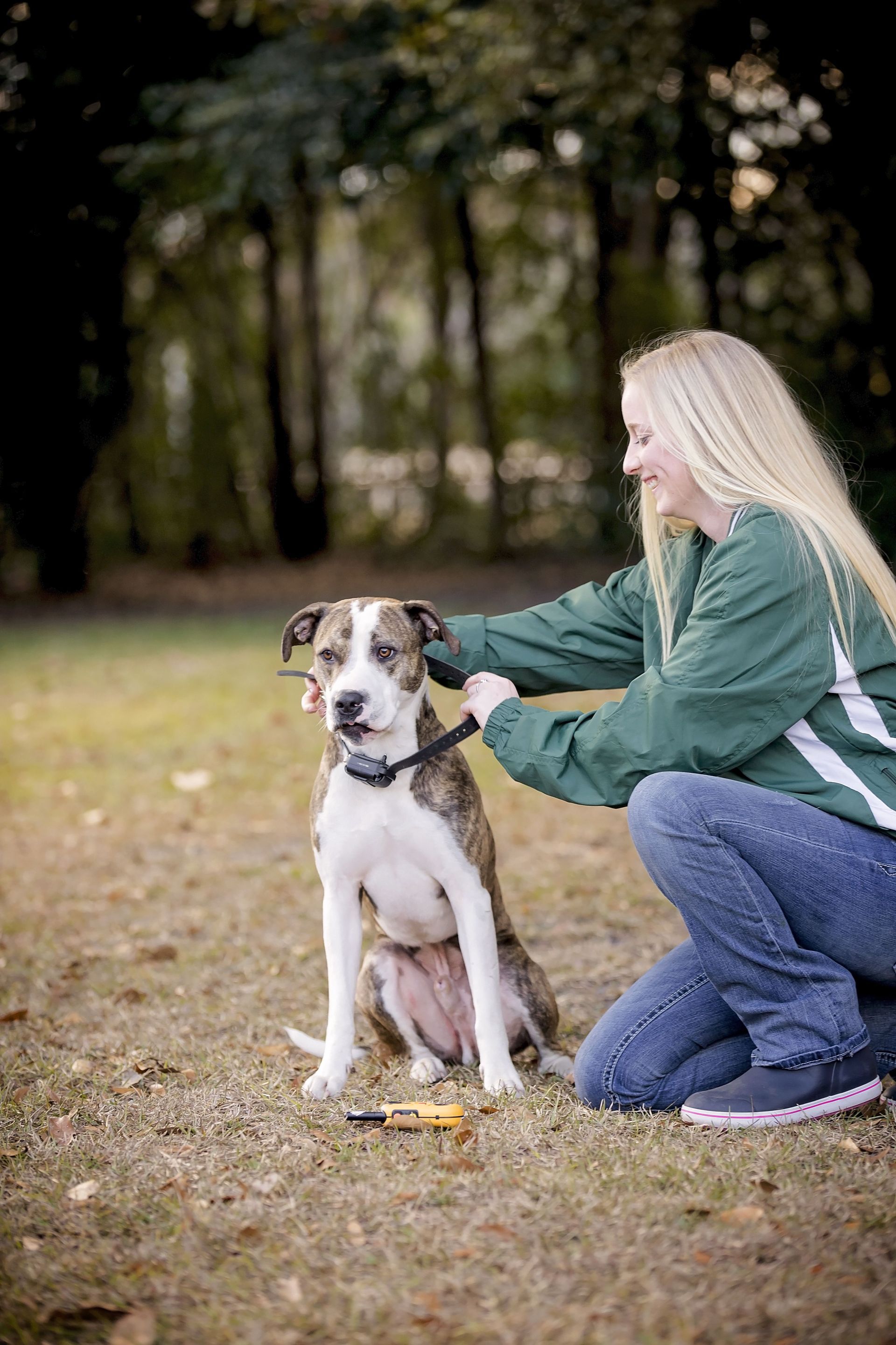 Woman Training A Dog