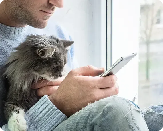 Person holding a fluffy gray cat while using a smartphone by a window