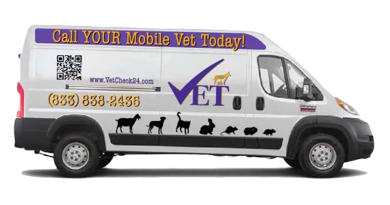 White mobile vet van with purple branding, “Call your mobile vet today,” website, and phone number.