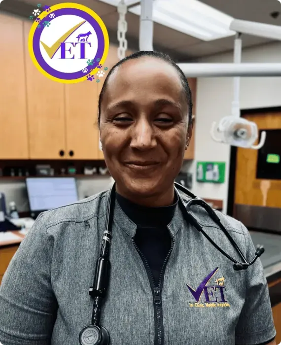 Veterinary professional in gray scrub top, smiling in a clinic with a stethoscope and VET logo