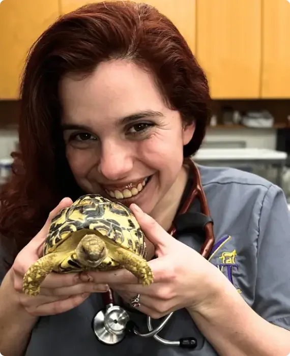 Woman in scrubs smiling and holding a tortoise in a veterinary clinic