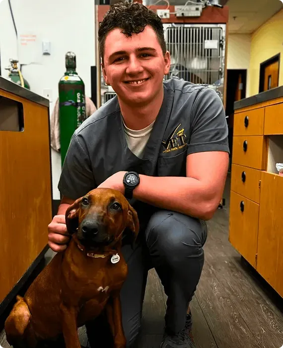 Smiling vet kneels beside a brown dog in a clinic hallway, with cabinets and a cage in the background