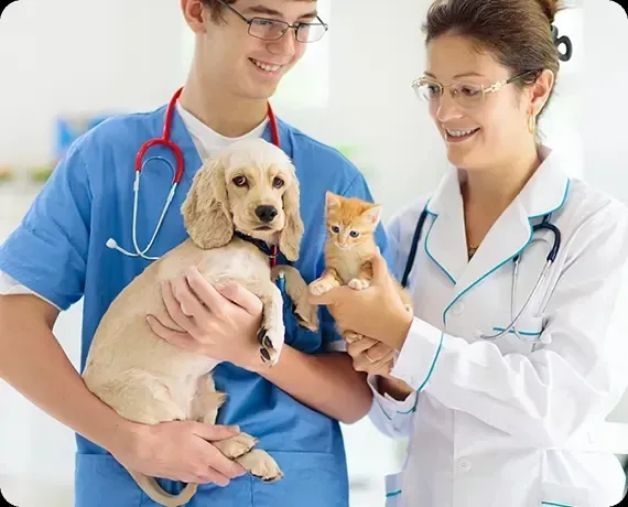 Veterinarian and doctor holding a puppy and kitten in a bright clinic setting