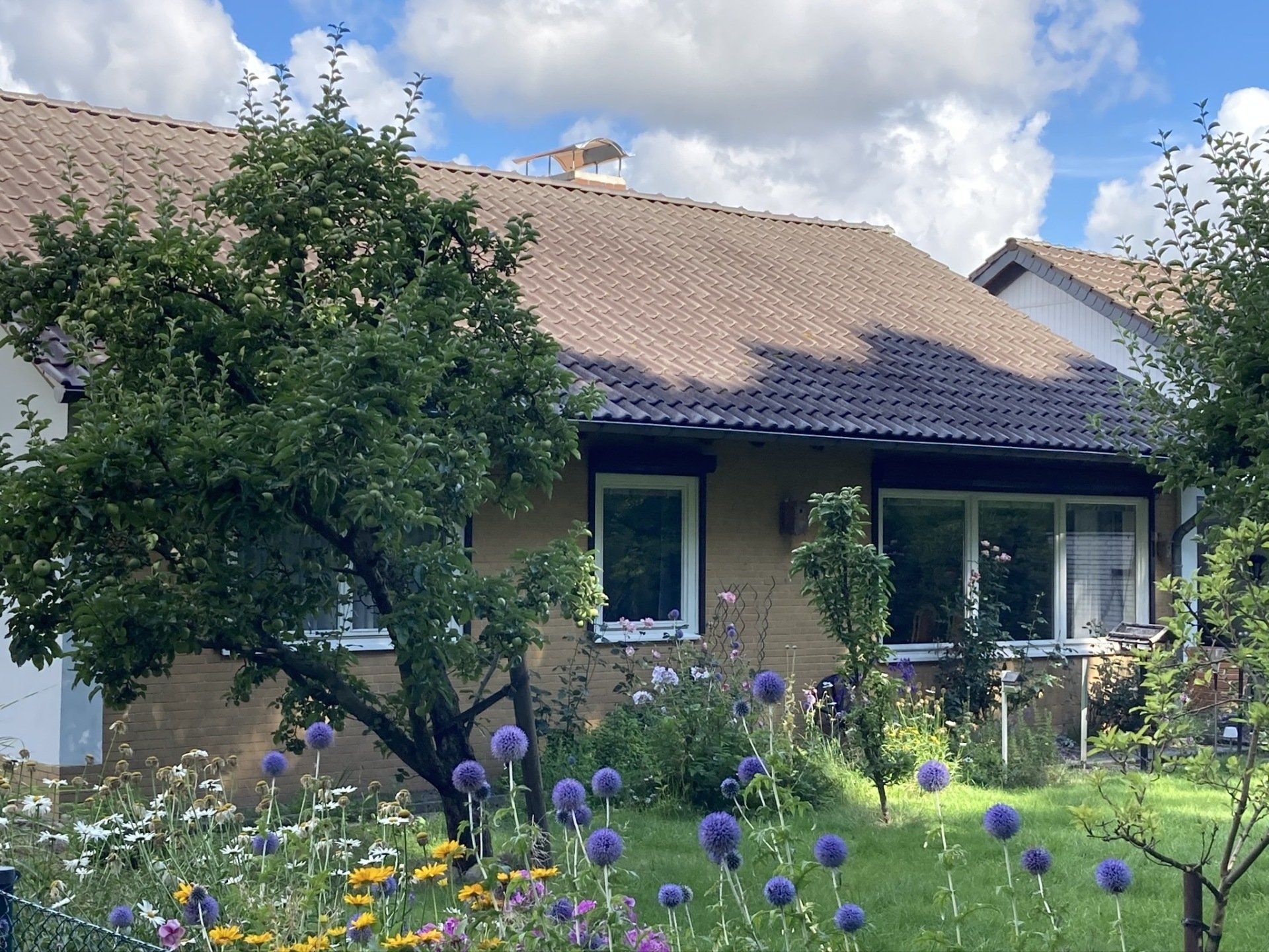 BEWAHREN UND ERNEUERN Foto 2
