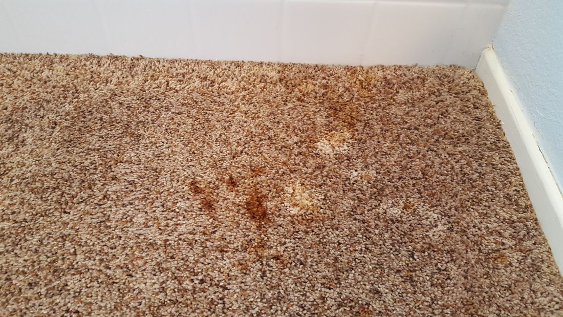 A brown carpet with a stain on it in a room.
