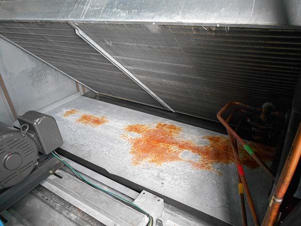 Before Range Hood Filter Cleaning — Edgewater Park, NJ — Schoen Air Duct Cleaning