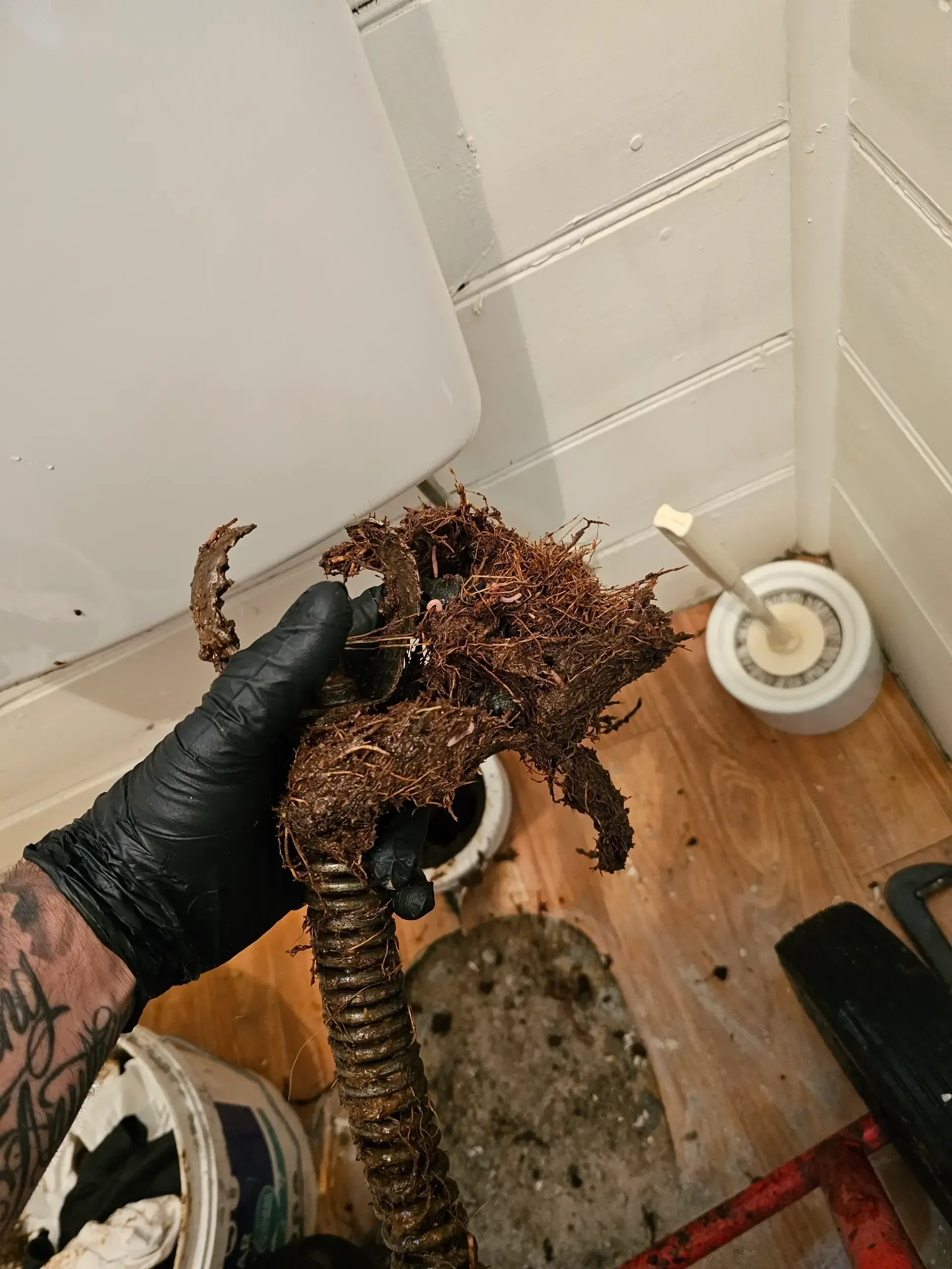 A person in a black glove holds a large, thick root mass extracted from a drain, standing in a bathroom. — Lenny's Plumbing & Contracting in Granton, TAS