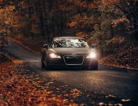 Black Audi R8 sports car on a winding road with autumn leaves. Headlights on, set in a wooded area.