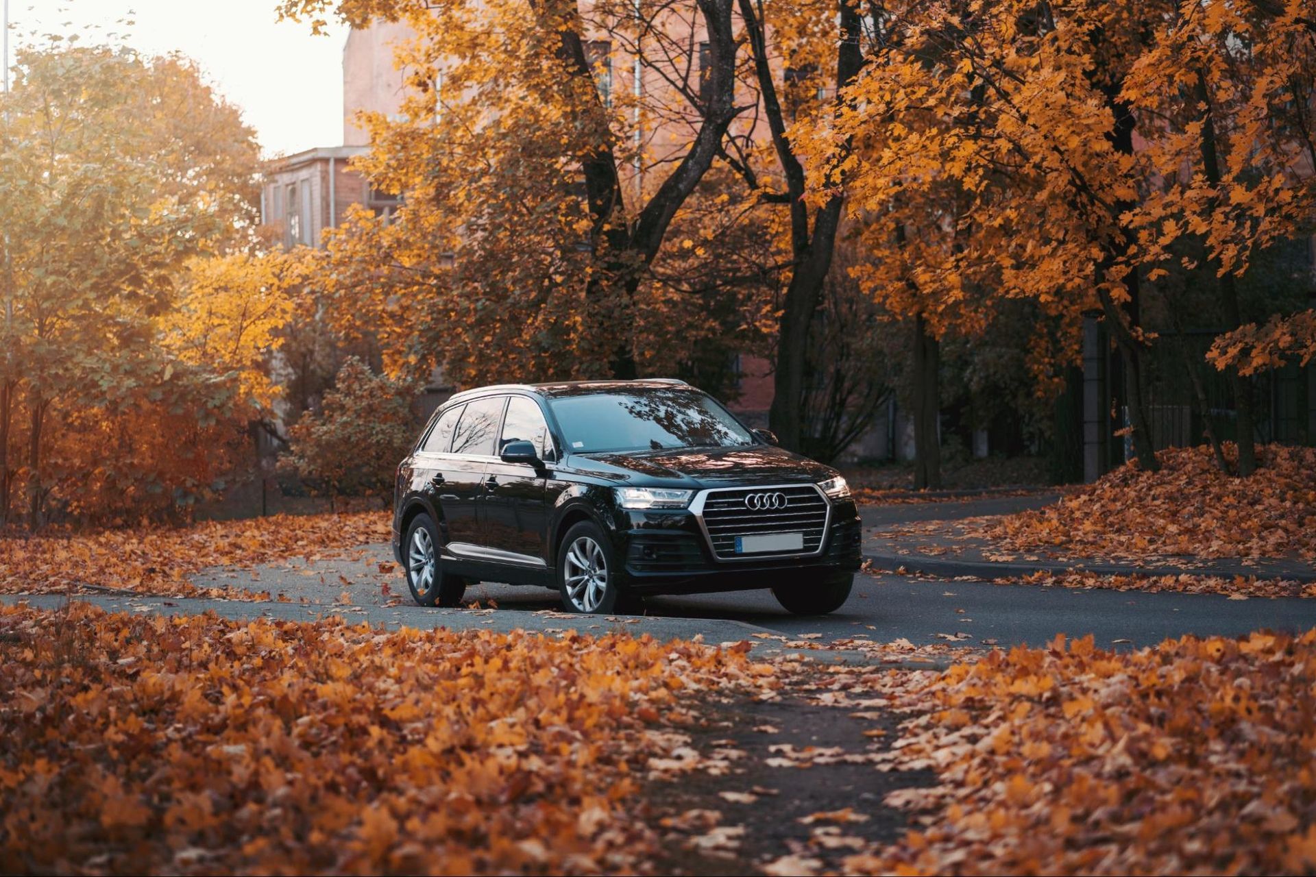 A black car is driving down a road covered in autumn leaves.