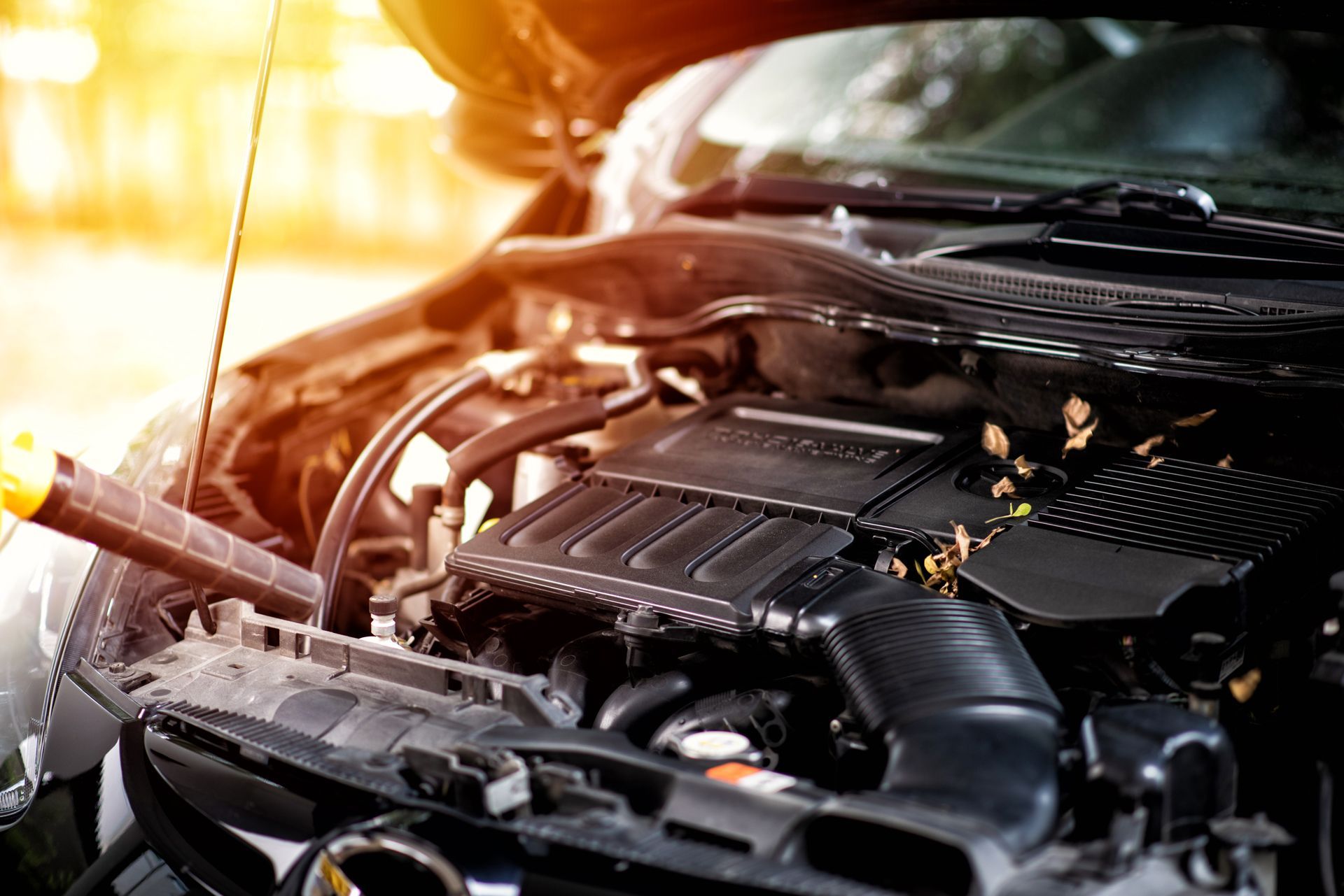 Open car engine bay with a hose spraying water, sunlit steam rising over the black engine.