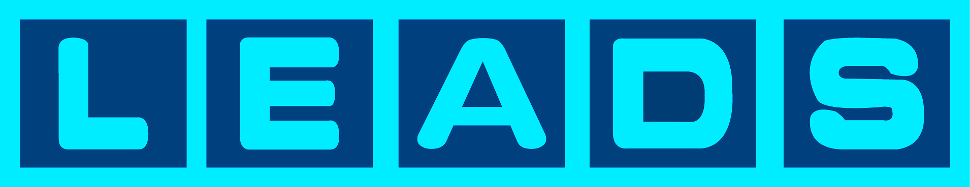 Local Business Leads