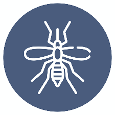 Pest Control Leads