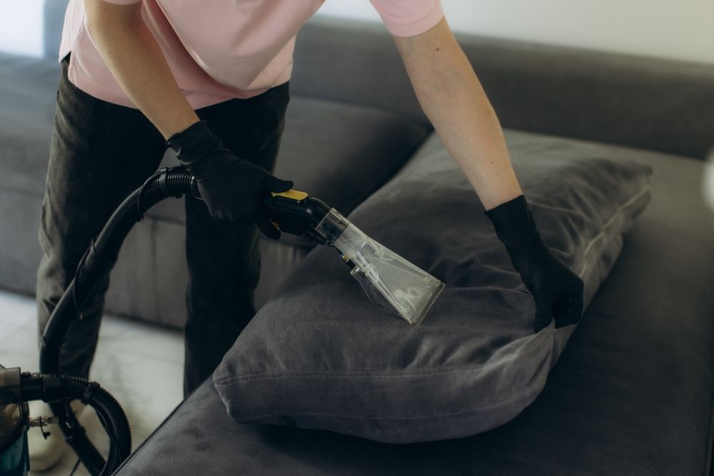 Person vacuuming a gray sofa with a handheld vacuum, wearing gloves and a pink shirt.
