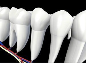 A computer generated image of a row of teeth