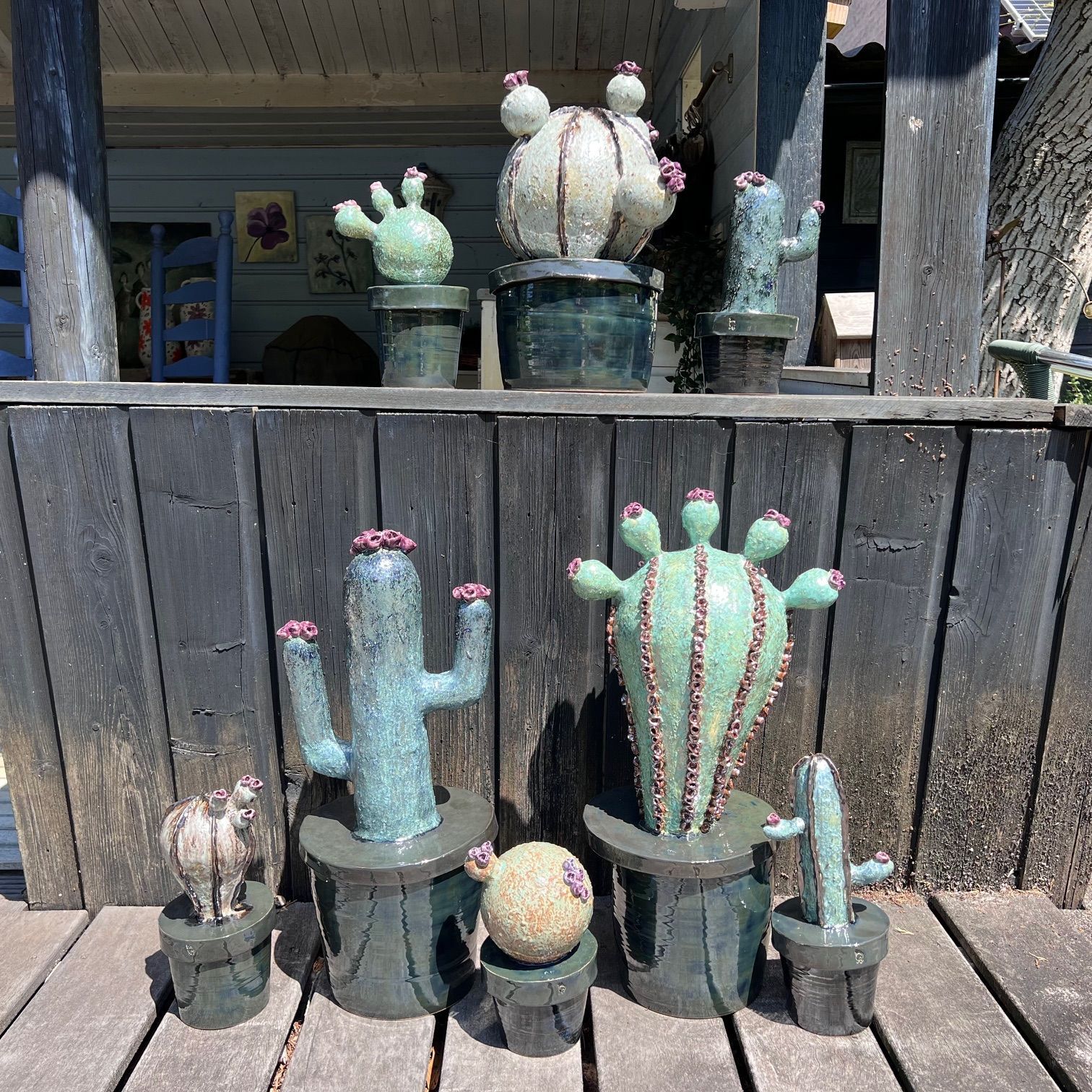 Cactussen van keramiek