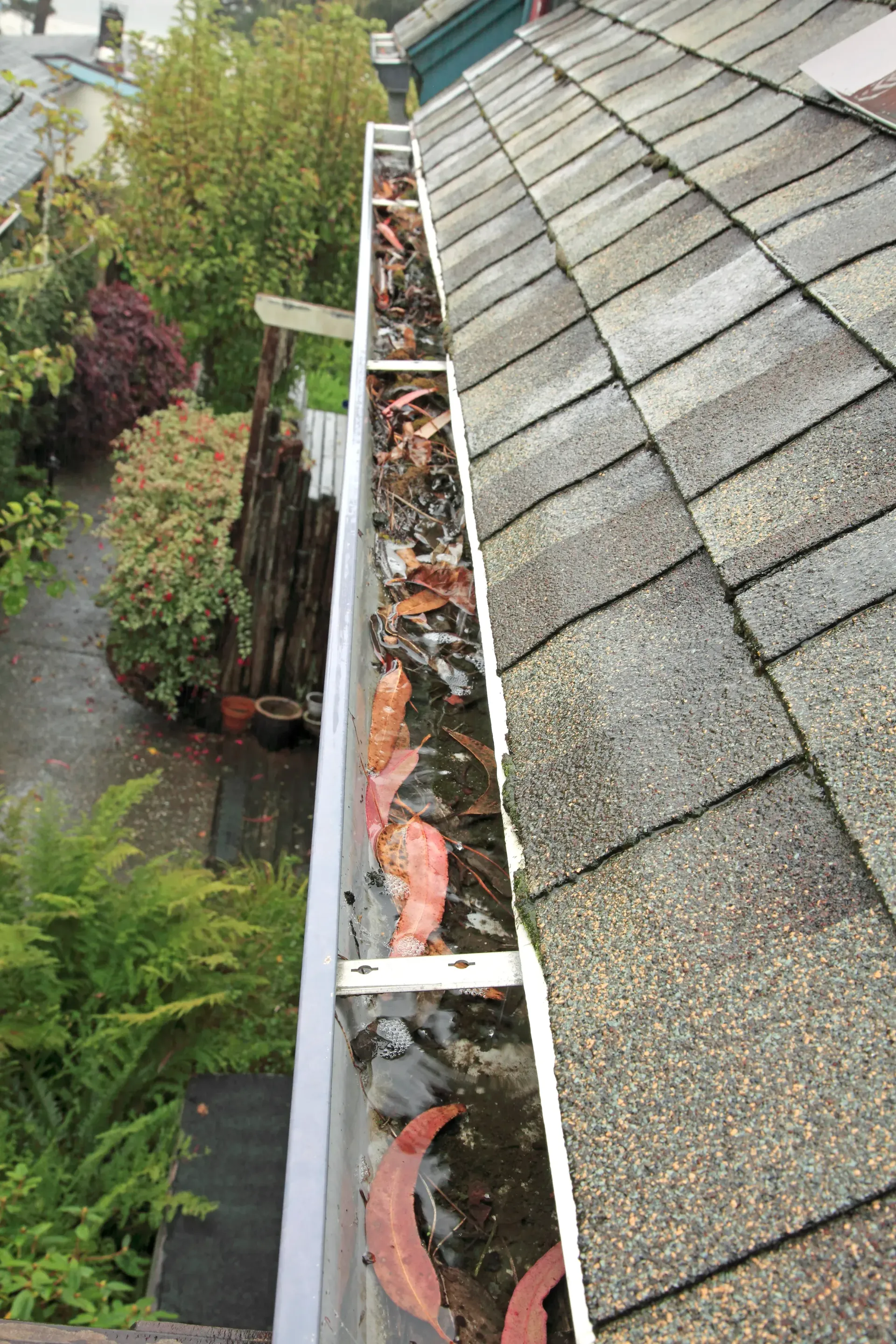 gutter cleaning near me​