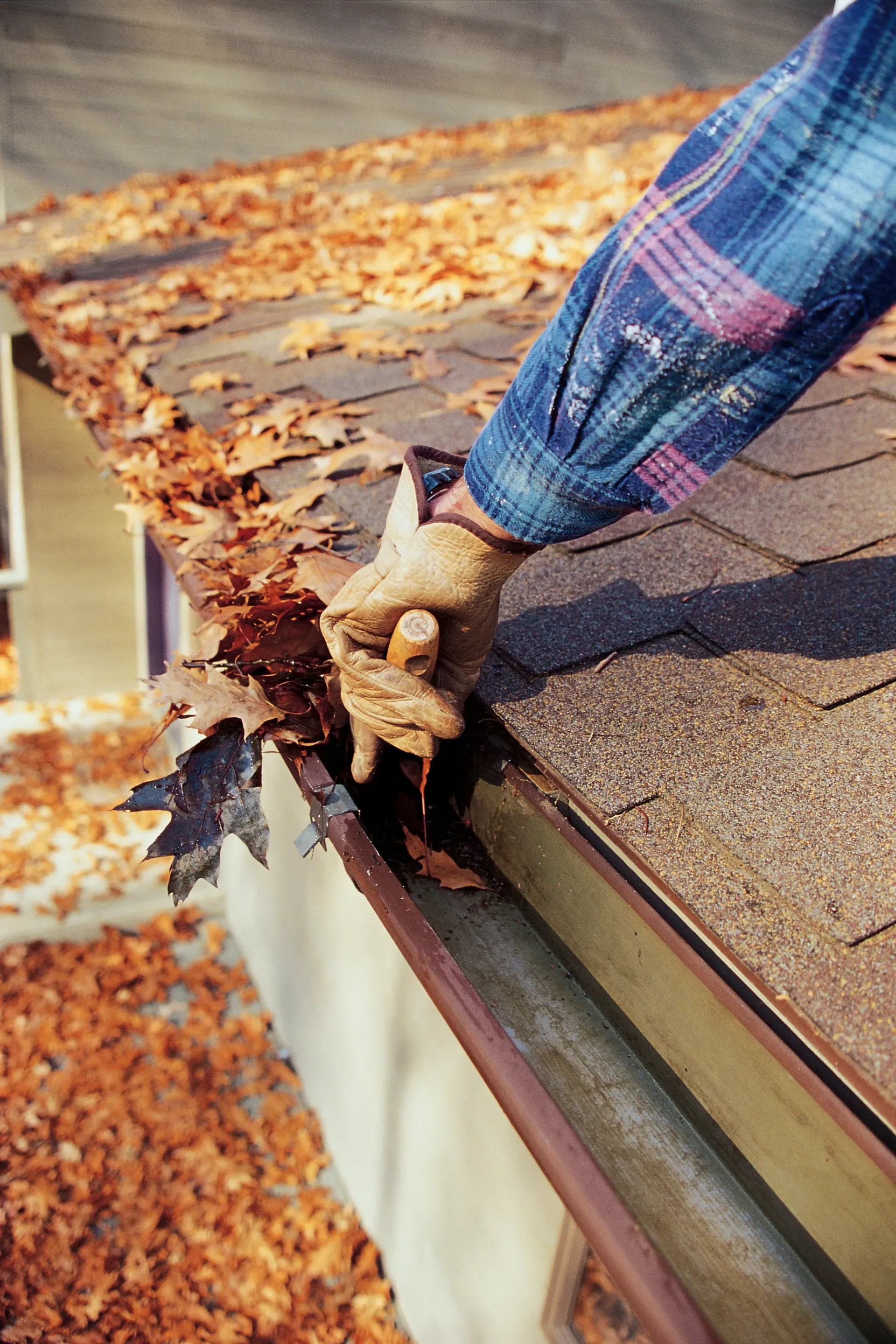 gutter cleaning near me