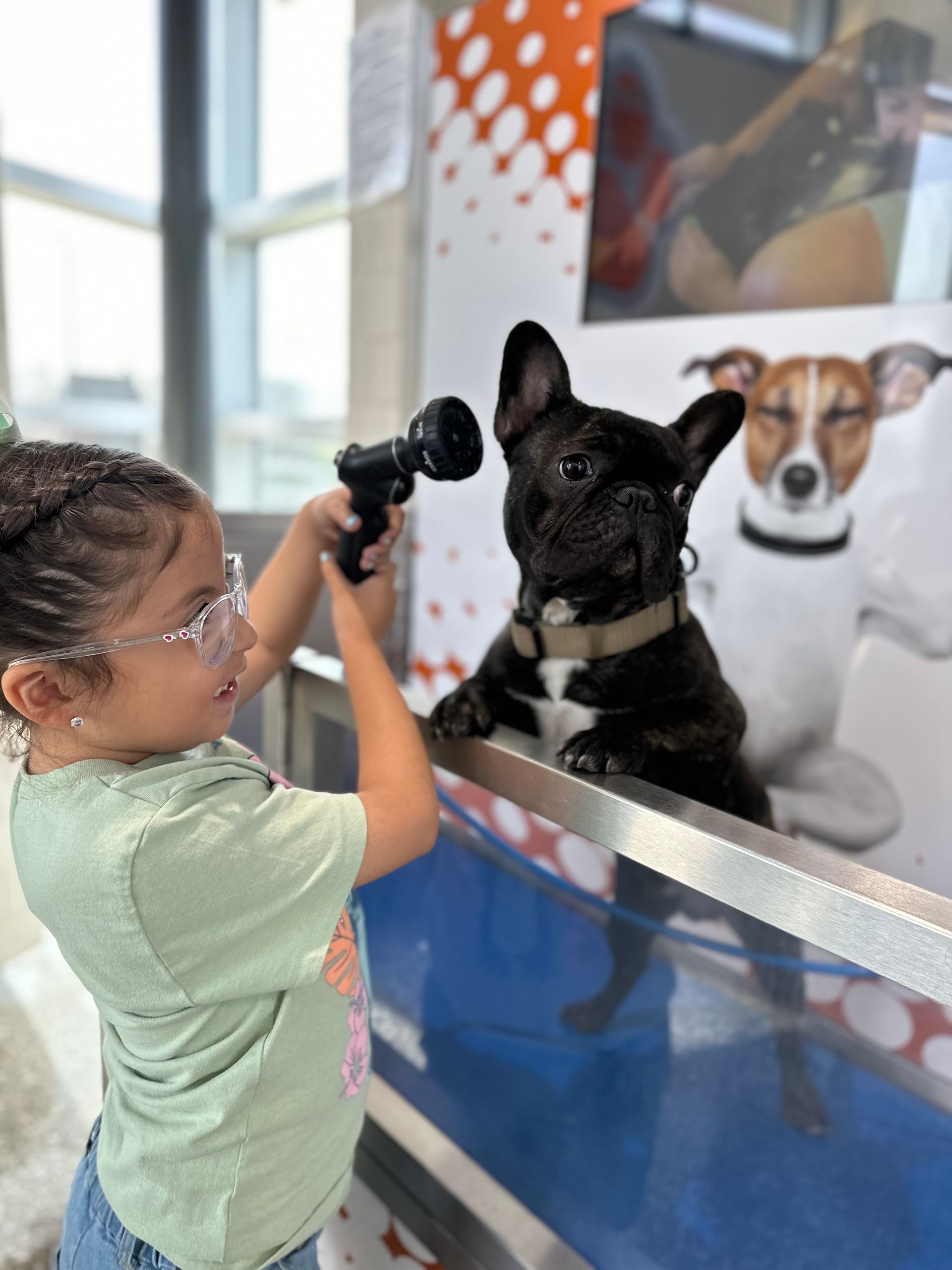 Fast Trak Car Wash in Fast Trak Car Wash in Texas. Dog Wash