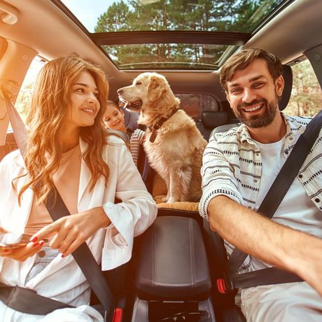 Two people and a dog riding in a car with sunroof, smiling in warm sunlight