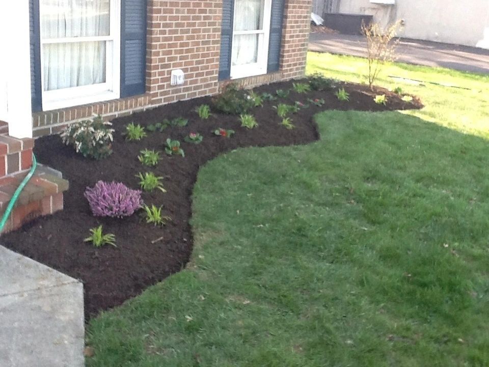 Flower bed with dark mulch and various plants in front of a brick house with blue shutters.