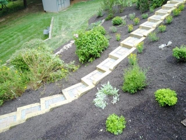 Stone steps ascend a sloped garden bed with dark mulch, featuring various green plants.