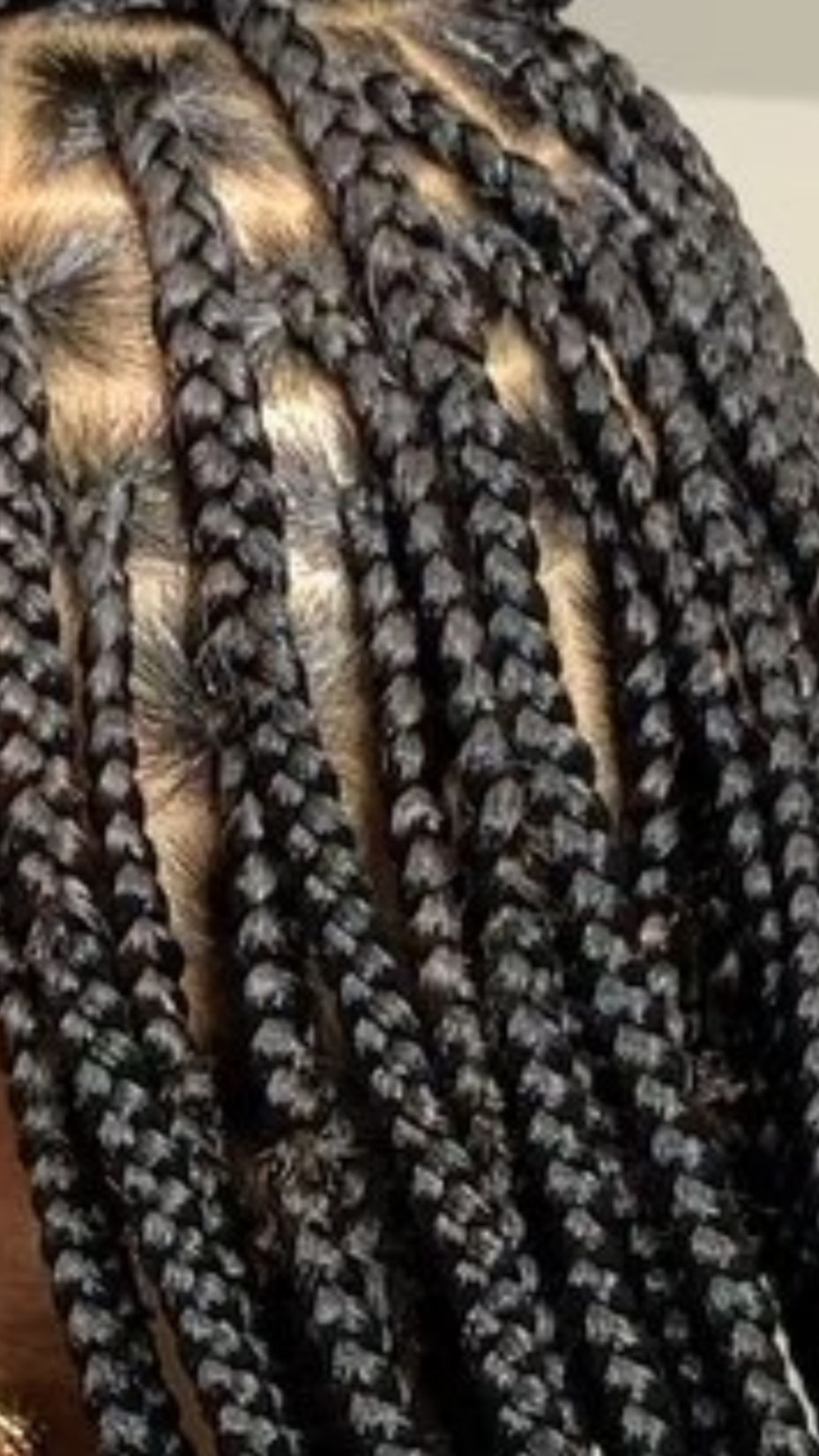 Close-up of neatly sectioned, dark, braided hair arranged in uniform rows.