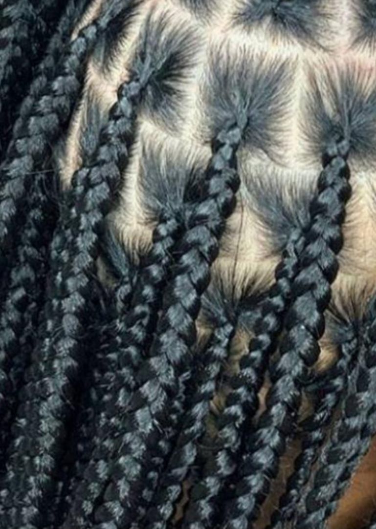 Close-up of neatly sectioned box braids in dark hair, showing the square parting pattern at the scalp.