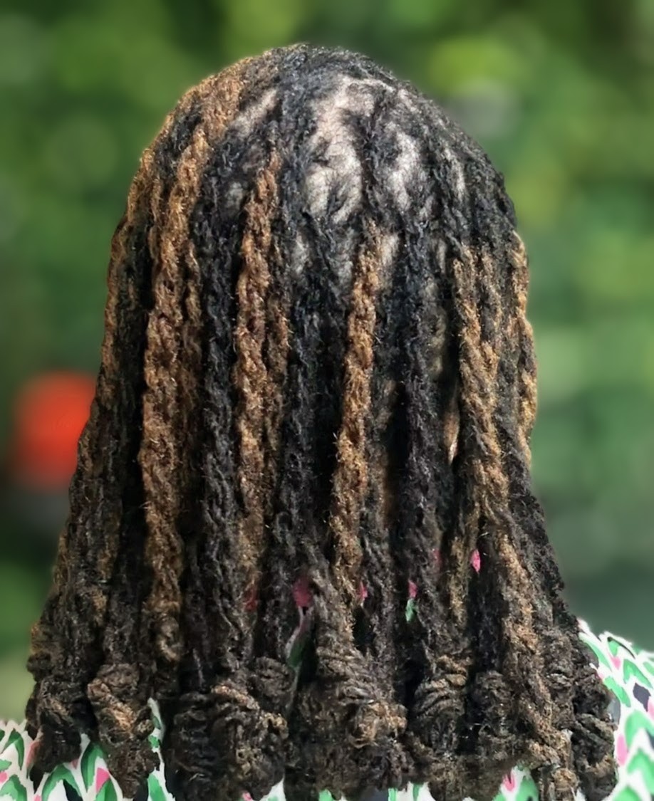A back view of hair styled in two-strand twists with a mix of black and light brown highlights, set against green foliage.