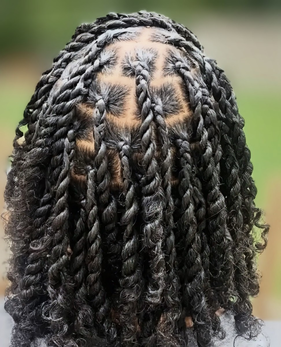 A close-up of dark hair styled in medium-length, neatly parted two-strand twists.