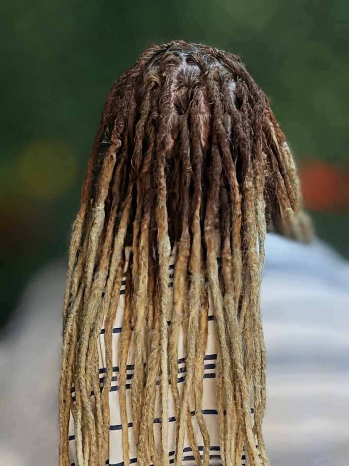 A person from behind with long, two-toned dreadlocks that are dark at the roots and transition to blonde at the ends.