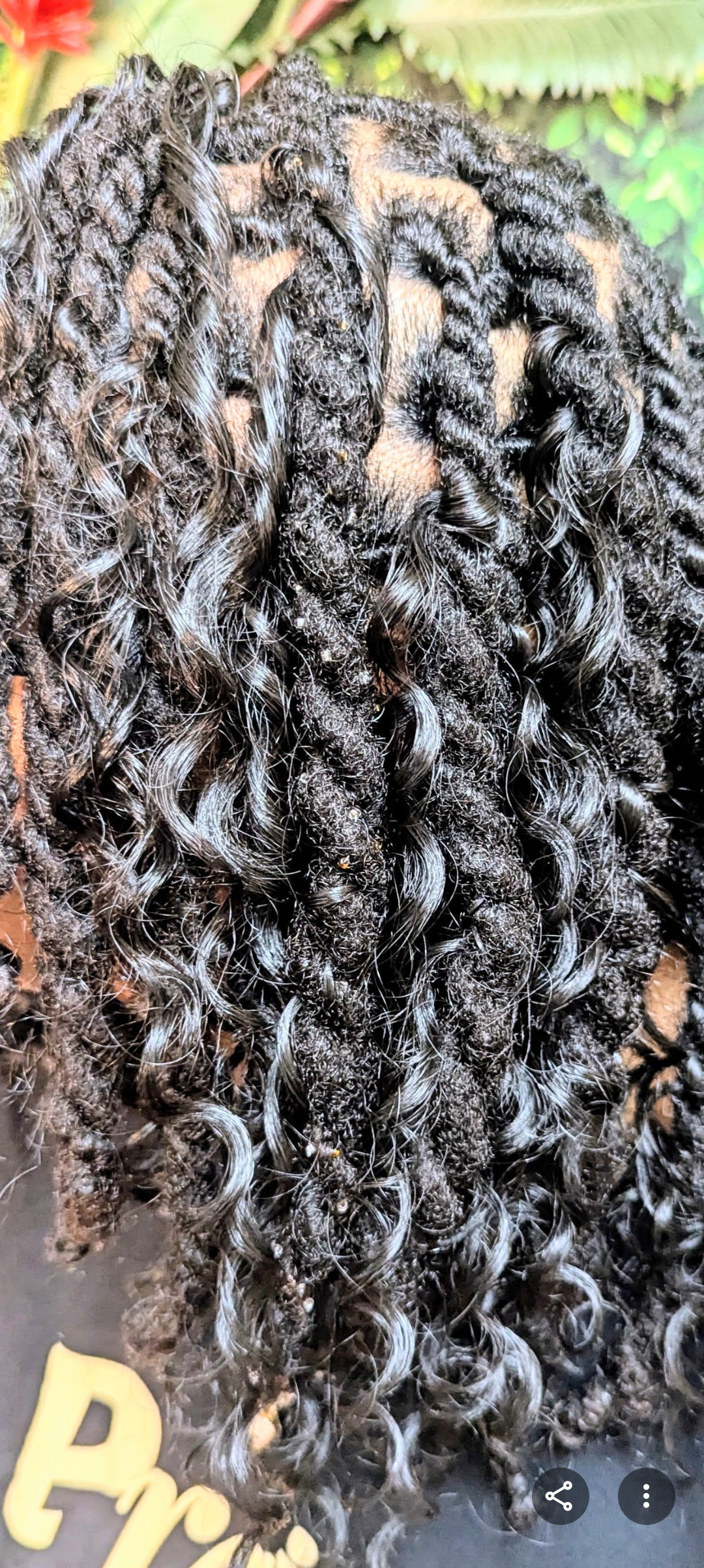Close-up view of dark, textured hair styled into numerous small, glossy twists.