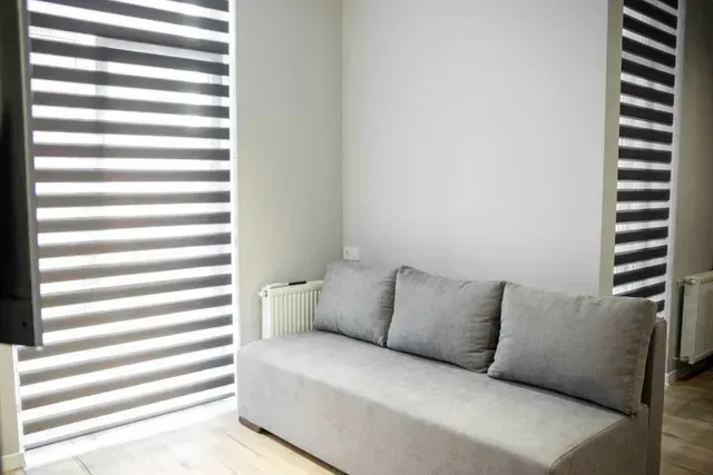 Dual shades next to a cozy gray couch enhancing ambiance and mood