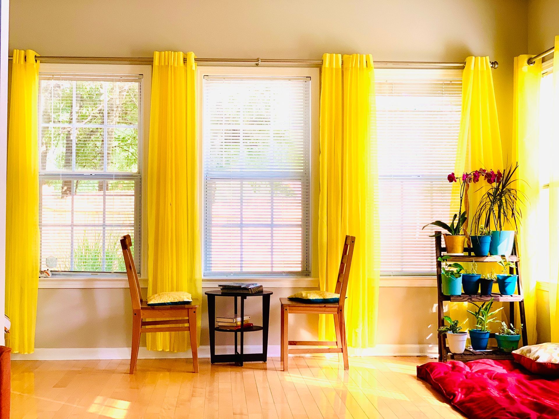 Mistake 5: Failing to Maintain and Update Window Treatments