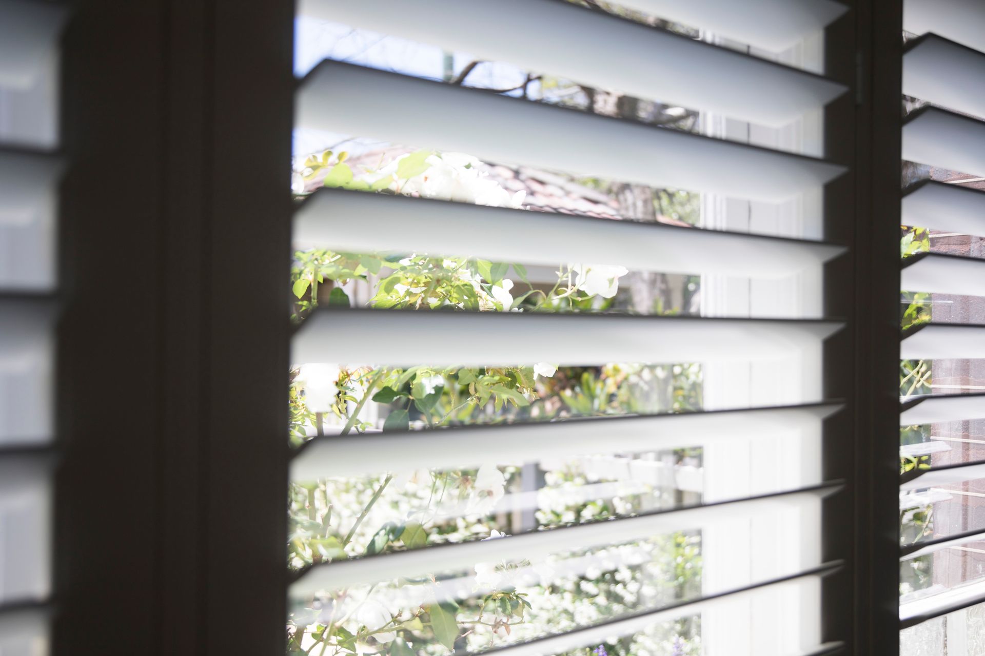 2. Visible Damage to the Shutters