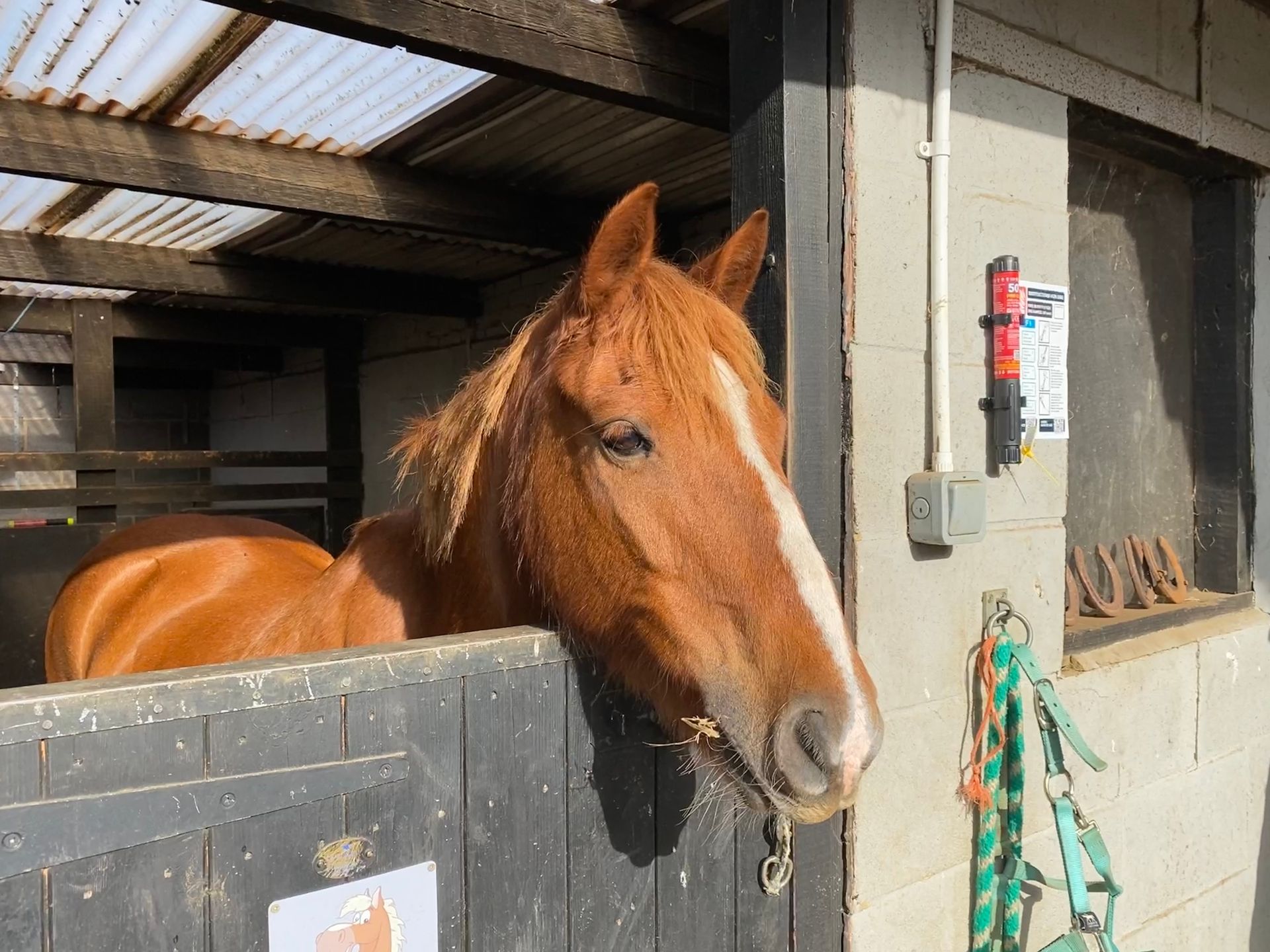 50 second Fire Safety Stick in stables
