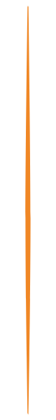 White background with two thin vertical orange lines, one near the left edge and one near the center.