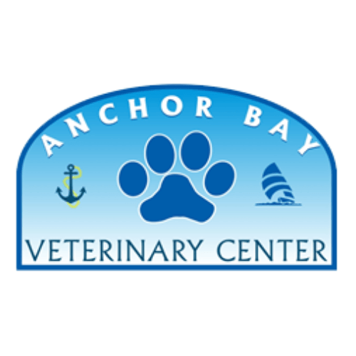 Veterinary Website Designer Monster Mobile Marketing