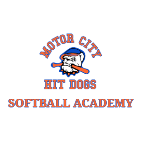 Softball Academy Website Design by Monster Mobile Marketing