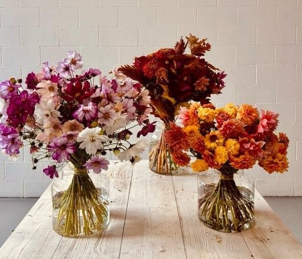 fiori freschi