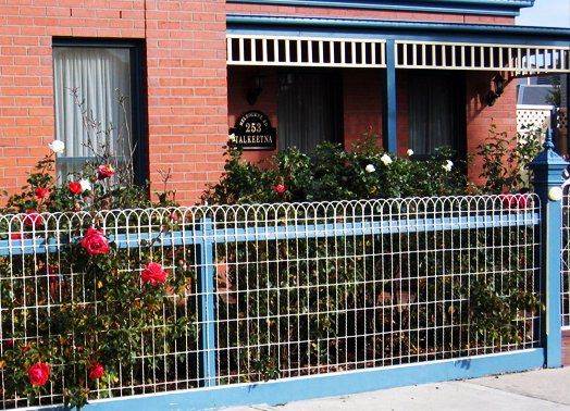 Brick house with blue trim, white picket fence, and rose bushes.