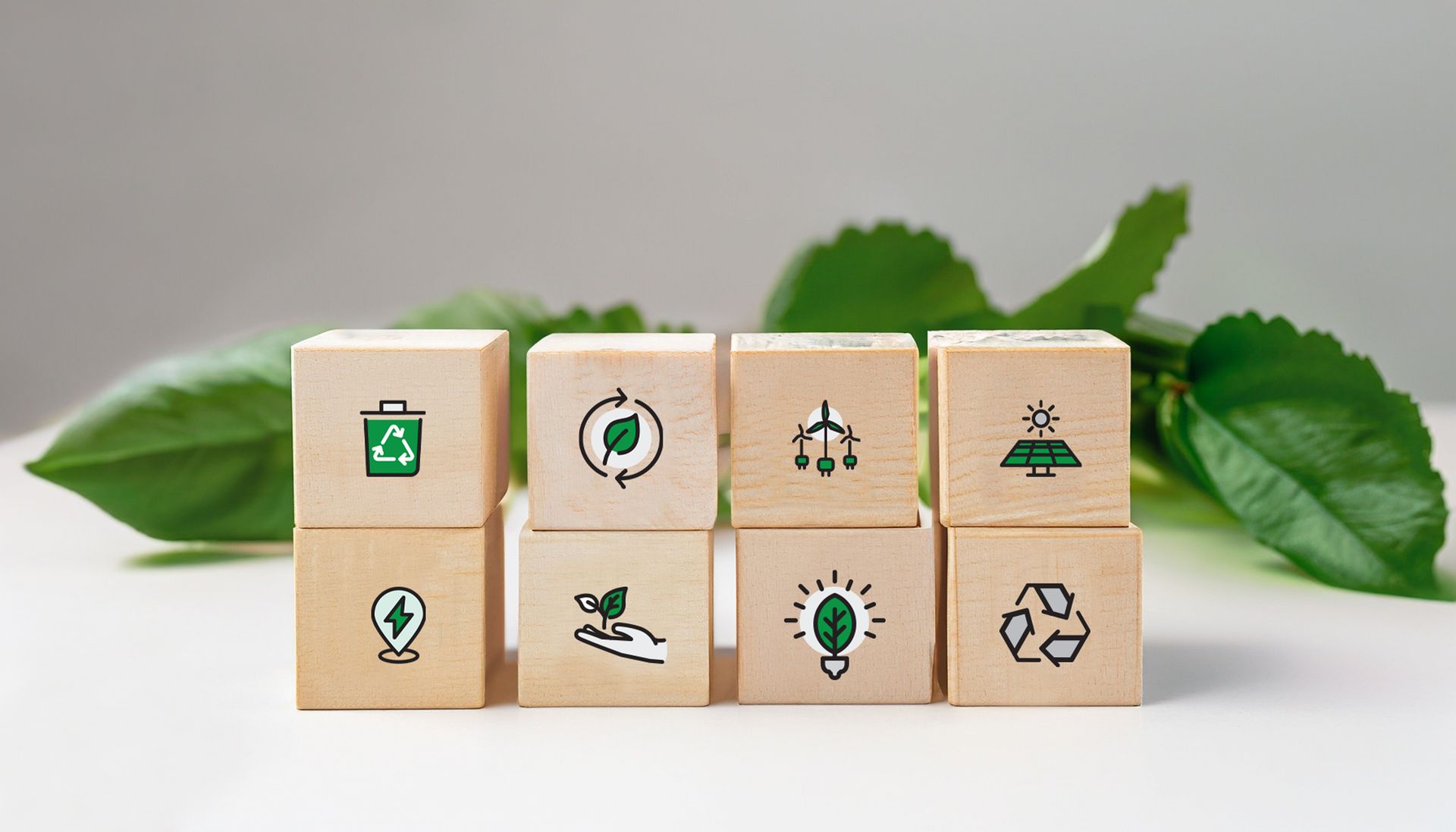 Wooden blocks with green environmental icons and leaves.