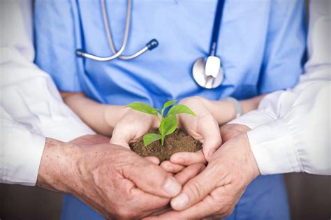 Supporting the Healing power of nature