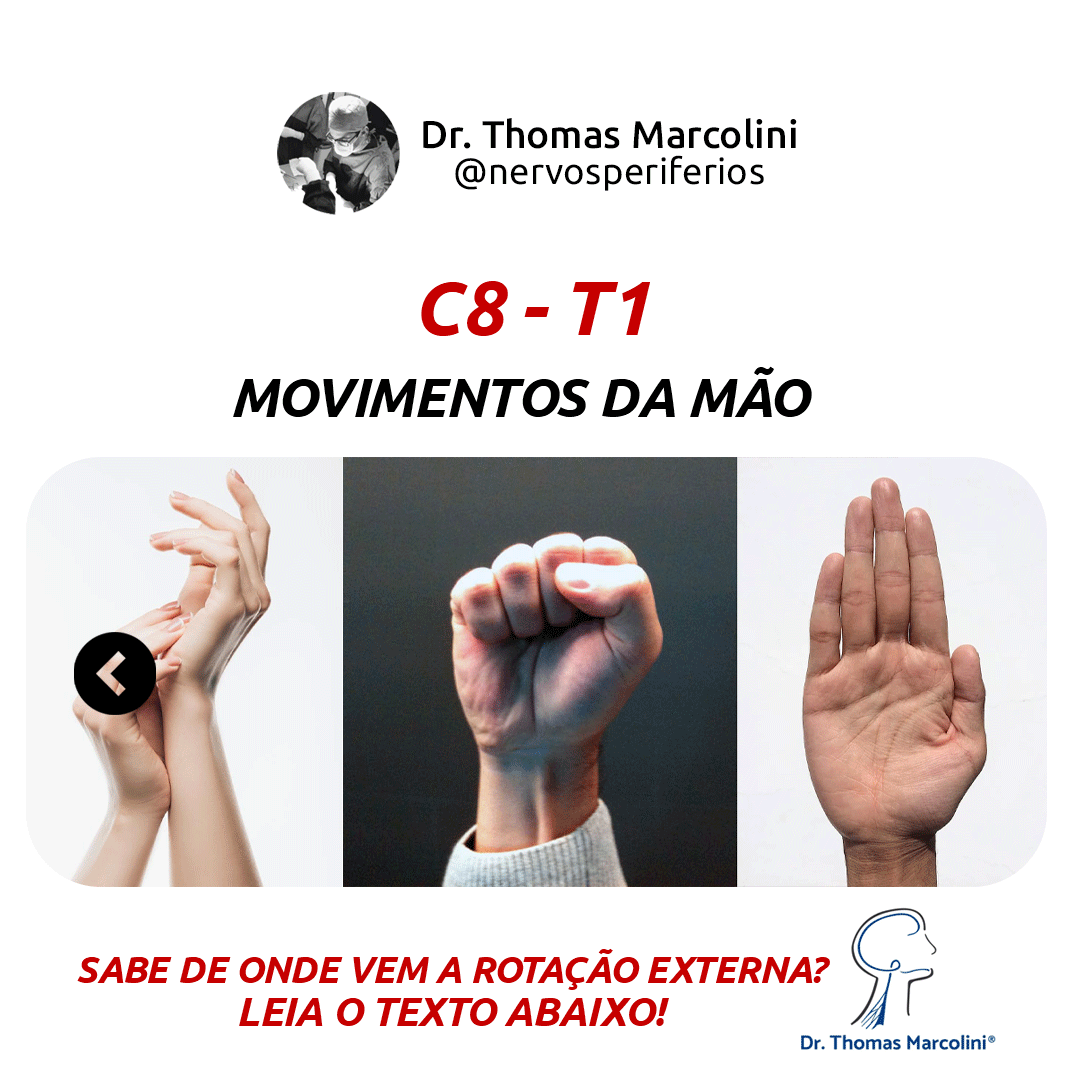 Sequência de mãos em diferentes movimentos, ilustrando a função das raízes C8 e T1 do plexo braquial