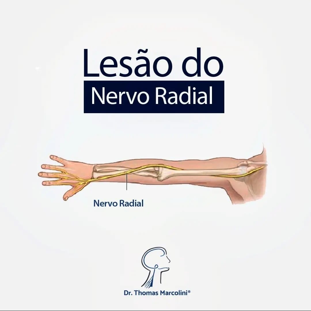 Capa com o texto 
